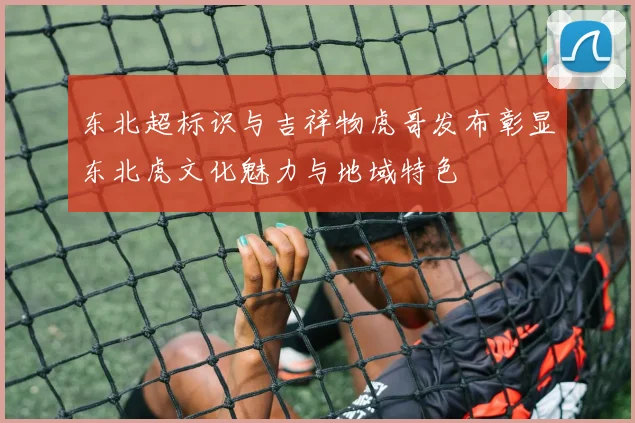 东北超标识与吉祥物虎哥发布彰显东北虎文化魅力与地域特色